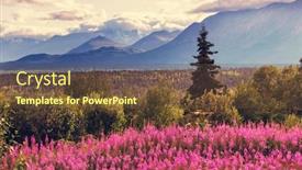  Presentation with summer - PPT theme featuring mountains-of-alaska-in-summer background and a tawny brown colored foreground