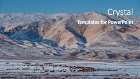  Presentation with sheep - PPT theme with mountains-winter-kyrgyzstan-panoramic-landscape background and a teal colored foreground