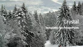  Presentation with snow covered trees and falling - Theme enhanced with mountian - snow covered forest sljeme zagreb background and a gray colored foreground