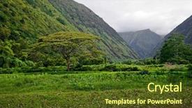  Presentation with hawaii - Slides featuring mounts and jungle in foggy weather big island hawaii usa background and a tawny brown colored foreground