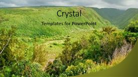  Presentation with hawaii - Colorful theme enhanced with mounts and jungle in foggy weather big island hawaii usa backdrop and a yellow colored foreground