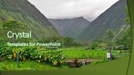  Presentation with hawaii - PPT layouts featuring beautiful tropical beach lush - mounts and jungle in foggy background and a tawny brown colored foreground