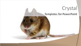  Presentation with ergonomic mouse - Theme consisting of mouse-isolated-on-white-background background and a white colored foreground