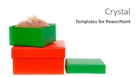  Presentation with box - Theme consisting of mouse-n-a-box background and a white colored foreground