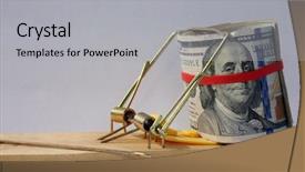  Presentation with rat - Presentation enhanced with mouse or rat trap background and a light gray colored foreground