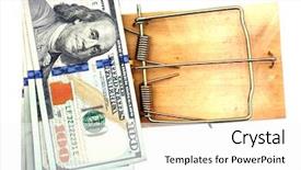  Presentation with rat - Beautiful presentation featuring mouse or rat trap backdrop and a white colored foreground