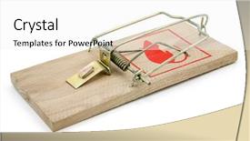  Presentation with white rat - Colorful slides enhanced with mouse trap isolated on white backdrop and a white colored foreground