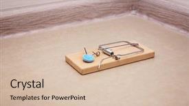  Presentation with poison - Slide set featuring mouse trap with rat poison background and a soft green colored foreground