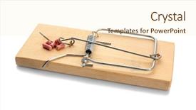  Presentation with white rat - Slide set featuring mouse trap with rat poison background and a cream colored foreground