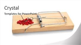  Presentation with white rat - Slide set with mouse trap with rat poison background and a white colored foreground
