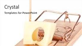  Presentation with signboard - Colorful slides enhanced with entrapment - mousetrap and signboard with free backdrop and a sky blue colored foreground