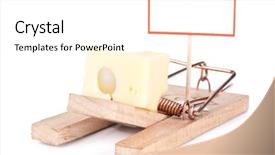  Presentation with signboard - Beautiful slides featuring mousetrap and signboard with free backdrop and a white colored foreground