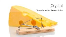  Presentation with white fragility - Colorful theme enhanced with mousetrap-with-cheese-isolated backdrop and a white colored foreground