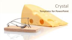  Presentation with white cheese - Presentation theme consisting of mousetrap-with-cheese-isolated background and a cream colored foreground