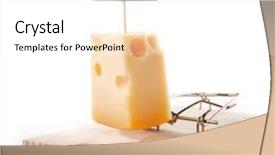  Presentation with white cheese - Presentation featuring mousetrap with free cheese sign isolated on white entrapment concept background and a white colored foreground