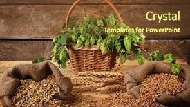  Presentation with beer - Audience pleasing theme consisting of mout - composition with beer ingredients backdrop and a tawny brown colored foreground