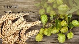  Presentation with hops - Slides enhanced with mout - malt and hops background and a coral colored foreground