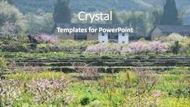  Presentation with clear sunny day rural landscape - Presentation theme with moutain - rural landscape peach blossom background and a seafoam green colored foreground
