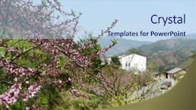  Presentation with rural - Presentation theme with moutain - rural landscape peach blossom background and a sky blue colored foreground