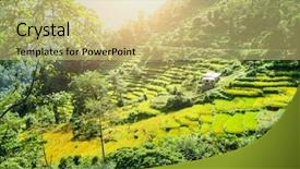  Presentation with rice terraces - PPT theme consisting of beautiful landscape of green valley with rice terraces in nepalese himalayas background and a yellow colored foreground