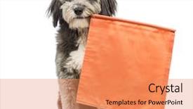  Presentation with old - Cool new slide deck with mouth in front of white backdrop and a  colored foreground