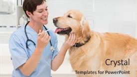  Presentation with mouth - Theme featuring mouth of a cute dog background and a  colored foreground