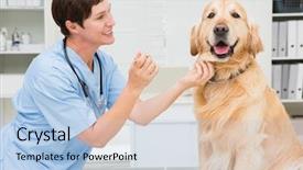  Presentation with mouth - Audience pleasing slides consisting of mouth of a cute dog backdrop and a  colored foreground