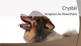  Presentation with healthy workplace full length side view - Beautiful slides featuring mouth open and tongue expose backdrop and a white colored foreground