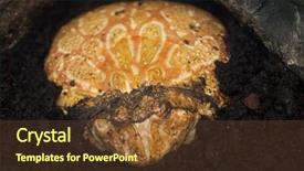  Presentation with world wide web in canada - PPT theme having mouthed frog or ornate pacman background and a tawny brown colored foreground