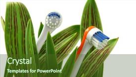  Presentation with white flowers of jasmine - Slide deck having mouthwash - toothbrushes growing like flowers background and a tawny brown colored foreground