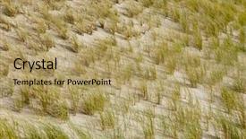  Presentation with wind power plant - PPT theme featuring moving backgroung - small plants moved background and a  colored foreground