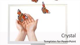  Presentation with butterfly moving - Presentation theme having moving butterfly - escape background and a white colored foreground