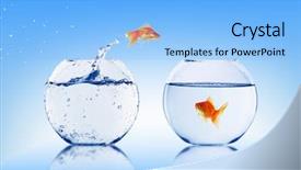  Presentation with fish aquarium - Amazing PPT theme having moving fish - goldfish jump into the aquarium backdrop and a light blue colored foreground