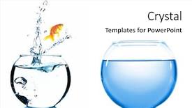  Presentation with fish aquarium - Beautiful slide set featuring moving fish - goldfish jumping from glass aquarium backdrop and a white colored foreground
