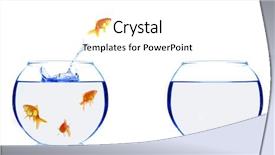  Presentation with fish aquarium - Beautiful PPT layouts featuring moving fish - goldfish jumping from glass aquarium backdrop and a white colored foreground