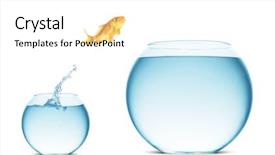  Presentation with goldfish jumping out - PPT theme featuring moving fish - goldfish jumping background and a white colored foreground