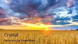  Presentation with wheat - Beautiful slide set featuring moving yellow light - sunset above the wheat field backdrop and a gold colored foreground