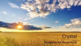  Presentation with summer wheat field blue - Presentation design with moving yellow light - sunset above the wheat field background and a  colored foreground