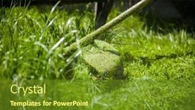  Presentation with green lawn - Colorful presentation theme enhanced with mowing-a-green-lawn backdrop and a tawny brown colored foreground