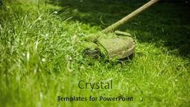  Presentation with green lawn - Presentation having mowing-a-green-lawn background and a gold colored foreground