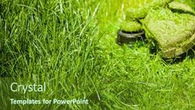 Presentation with green lawn - Beautiful presentation theme featuring mowing-a-green-lawn backdrop and a tawny brown colored foreground