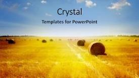  Presentation with wheat - PPT theme consisting of aerial bokeh of tokyo skyline background and a gray colored foreground.