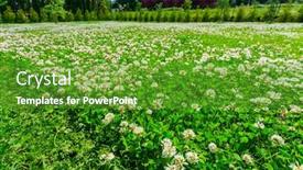  Presentation with clover - Presentation theme featuring mowing-the-lawn background and a tawny brown colored foreground