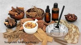  Presentation with plant based - PPT theme consisting of moxibustion-treatment-with-charcoal-moxa background and a coral colored foreground