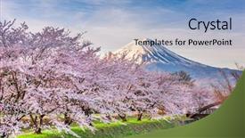  Presentation with japan - Presentation theme having mt fuji japan in spring background and a light blue colored foreground