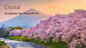  Presentation with japan - Audience pleasing PPT theme consisting of mt-fuji-japan-spring-landscape backdrop and a coral colored foreground