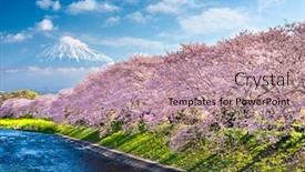  Presentation with japan - Cool new presentation theme with mt-fuji-japan-spring-landscape backdrop and a coral colored foreground