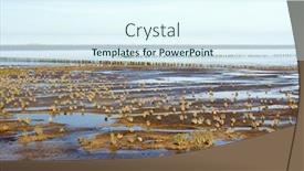  Presentation with dutch - Audience pleasing PPT layouts consisting of mudflat-during-ebb-in-dutch backdrop and a sky blue colored foreground