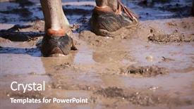  Presentation with obstacle course - PPT theme having running through water and mud background and a coral colored foreground