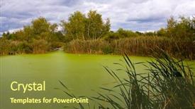  Presentation with green offices - Presentation theme consisting of mudrush - landscape with green bog background and a tawny brown colored foreground